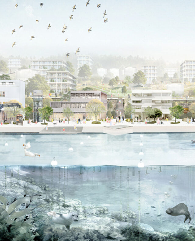 Image of Living city, Living Sea - Winner Europan 2021