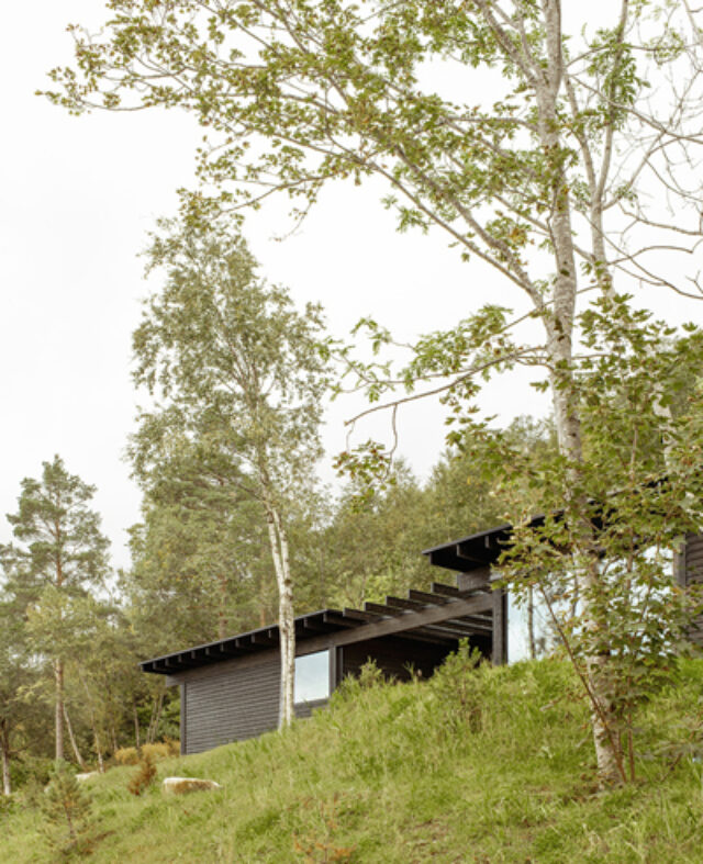 Image of Sykkylven